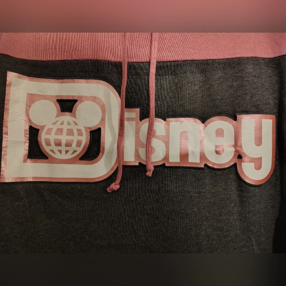 Walt Disney World Spirit Pink Gray Hoodie - Picture 2 of 9